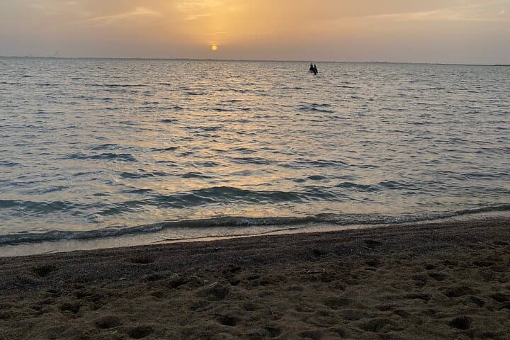 Sunset Horseback Ride on Dahban Beach — Private Red Sea Experience photo 4