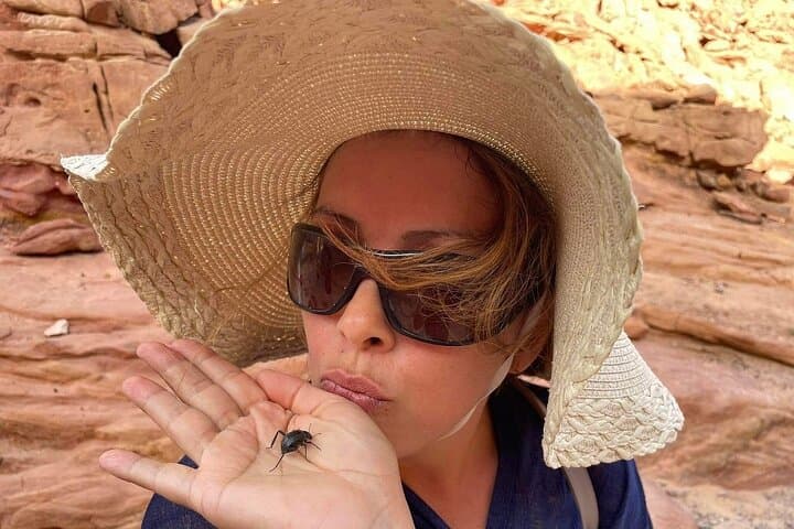 Blue Hole & Canyon Salama: Dahab Day Trip with Snorkel, Jeep Safari and Bedouin Lunch