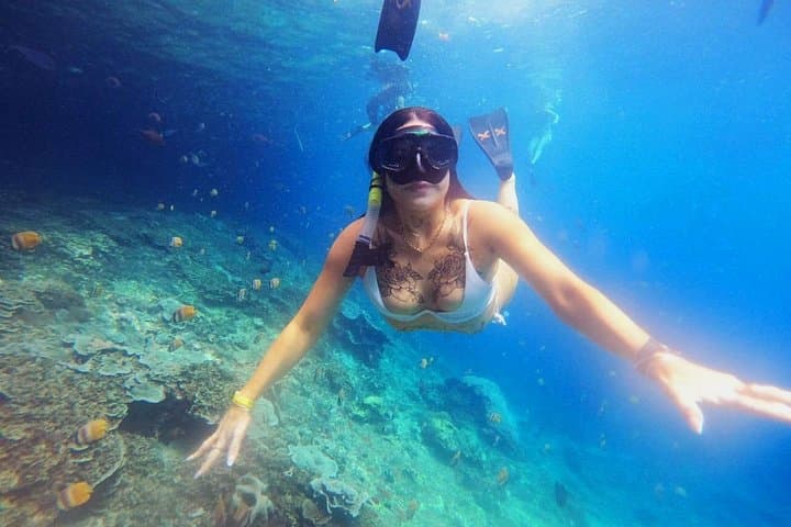 Blue Lagoon Bali Snorkeling — All‑Inclusive Trip to Tanjung Jepun photo 4