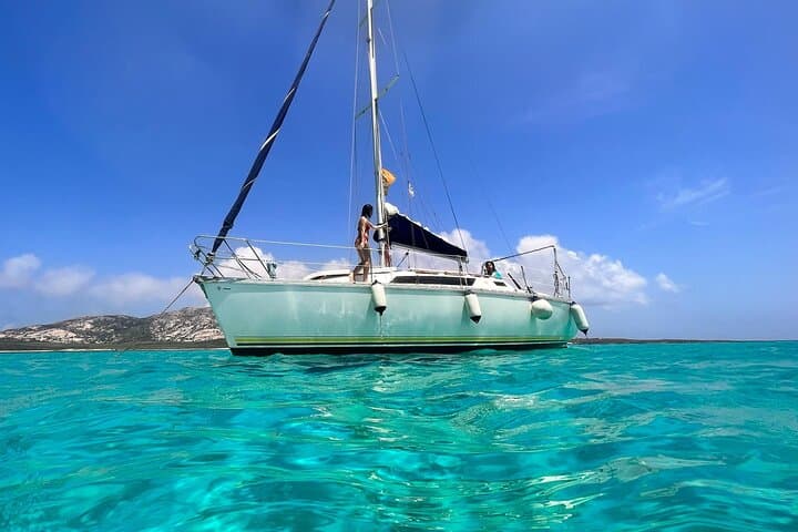 Sailing to Asinara from Stintino: A Full-Day Adventure on Sardinia’s Wild Coast