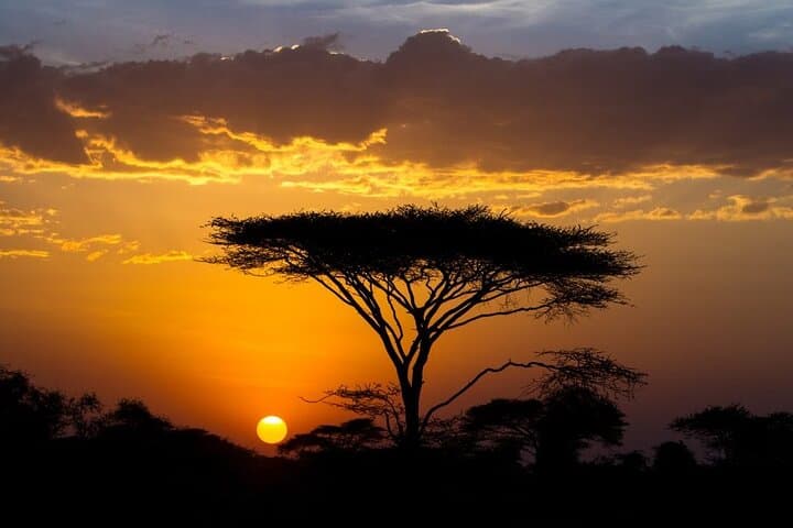8-Day Private Safari: Tanzania’s Southern Circuit — Selous, Mikumi, Udzungwa & Ruaha photo 2