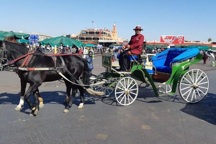 Marrakech Horse Carriage Ride: 1-Hour Medina Tour Through Jemaa el-Fna & Palaces photo 3