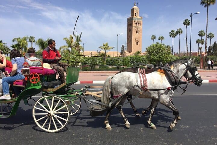 Marrakech Horse Carriage Ride: 1-Hour Medina Tour Through Jemaa el-Fna & Palaces photo 2