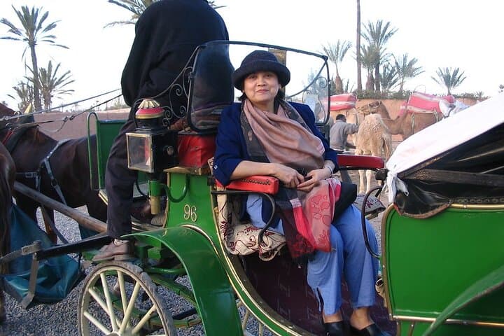 Marrakech Horse Carriage Ride: 1-Hour Medina Tour Through Jemaa el-Fna & Palaces