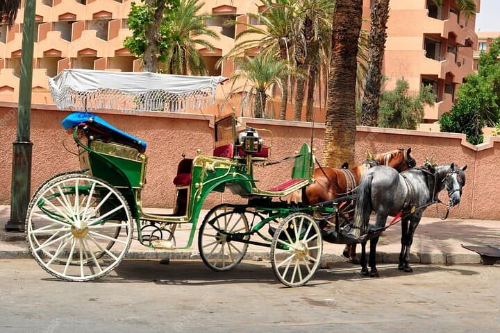 Marrakech Horse Carriage Ride: 1-Hour Medina Tour Through Jemaa el-Fna & Palaces photo 5