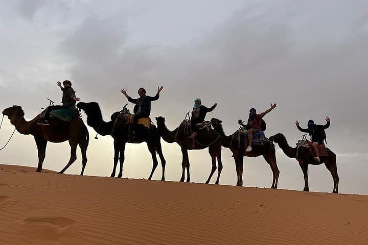 Half-Day 4x4 & Camel Adventure in Merzouga's Erg Chebbi