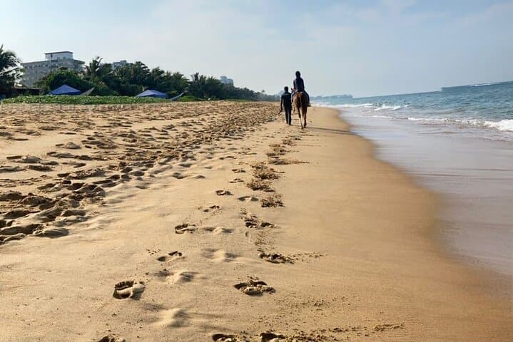 Mount Lavinia Beach Horseback Riding: Sunset Canters on Sri Lanka’s Shore photo 2