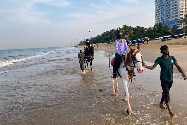 Mount Lavinia Beach Horseback Riding: Sunset Canters on Sri Lanka’s Shore photo 3