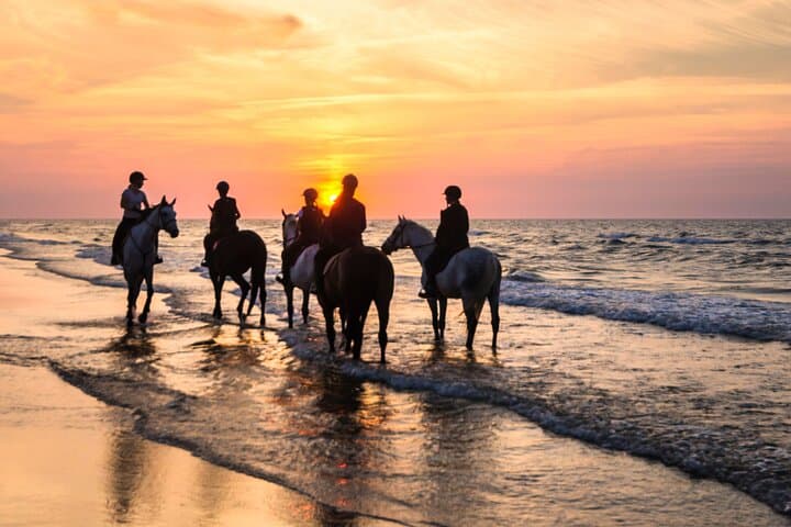 Horseback Riding on Punta Cana Beaches: Macao & Bavaro Coastal Trail Ride photo 3