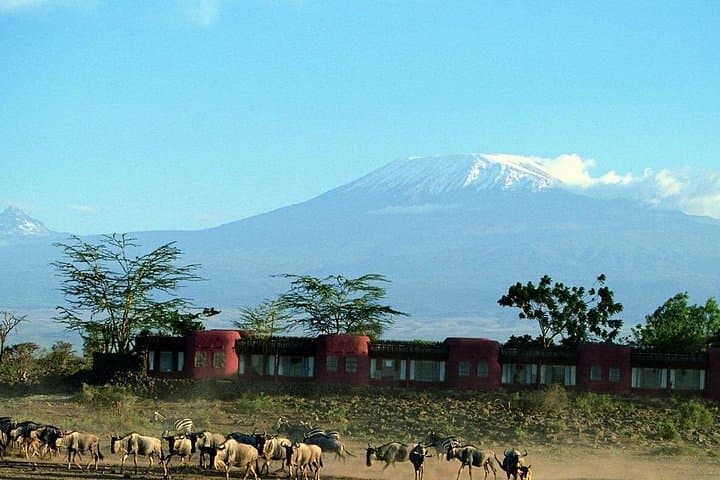 Amboseli Day Safari: Elephants, Kilimanjaro Views & Masai Plains photo 4