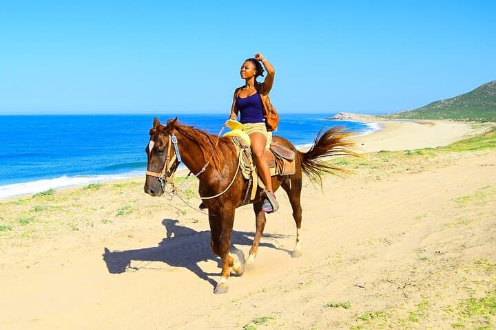 Horseback Riding on Punta Cana Beaches: Macao & Bavaro Coastal Trail Ride photo 4