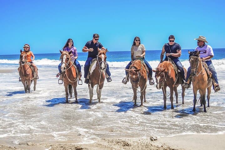 Horseback Riding on Punta Cana Beaches: Macao & Bavaro Coastal Trail Ride photo 5