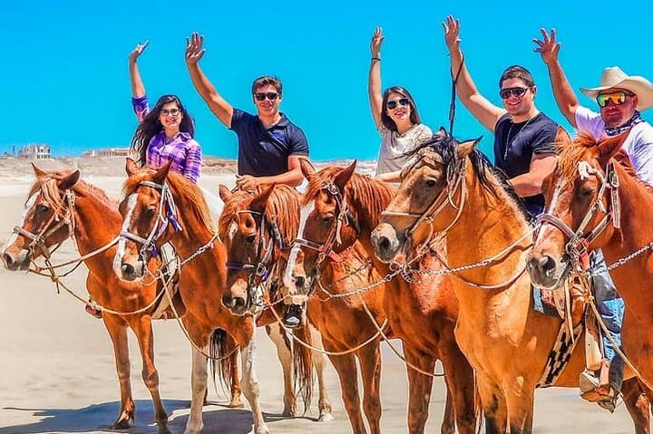 Horseback Riding on Punta Cana Beaches: Macao & Bavaro Coastal Trail Ride