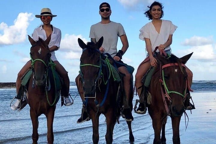 Horseback Riding on Punta Cana Beaches: Macao & Bavaro Coastal Trail Ride photo 6