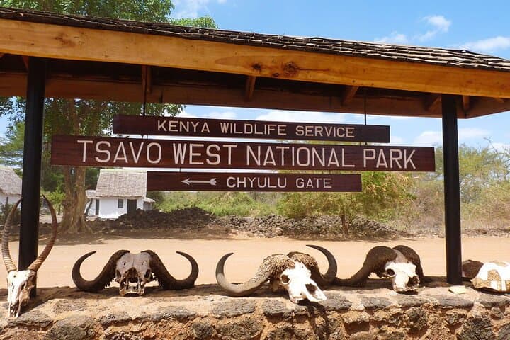 2-Night Tsavo East & West Safari from Mombasa — Game Drives, Lodges & Big Elephants photo 6