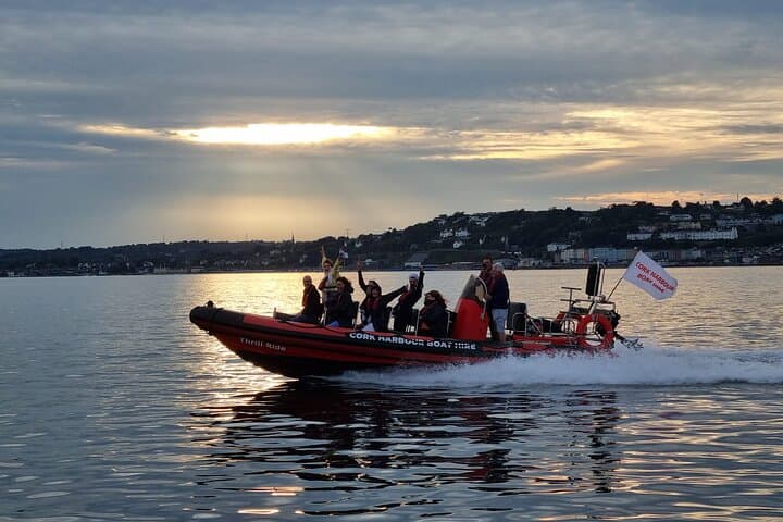 Cork Harbour RIB Tour: High-Speed Sea Safari from Cobh