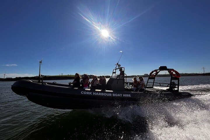 Cork Harbour RIB Tour: High-Speed Sea Safari from Cobh photo 2