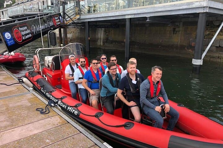 Cork Harbour RIB Tour: High-Speed Sea Safari from Cobh photo 3