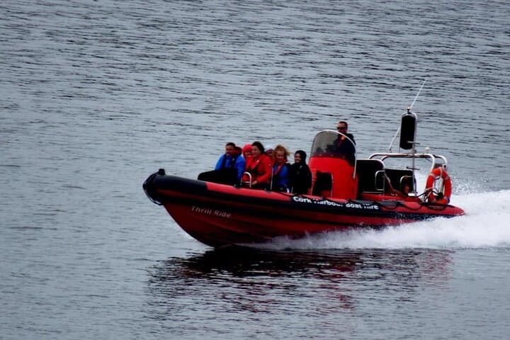 Cork Harbour RIB Tour: High-Speed Sea Safari from Cobh photo 4