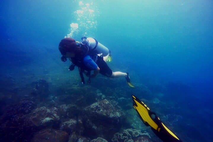 Trincomalee Scuba Diving: 3-Hour Guided Dives for Whale Sharks & Coral photo 5