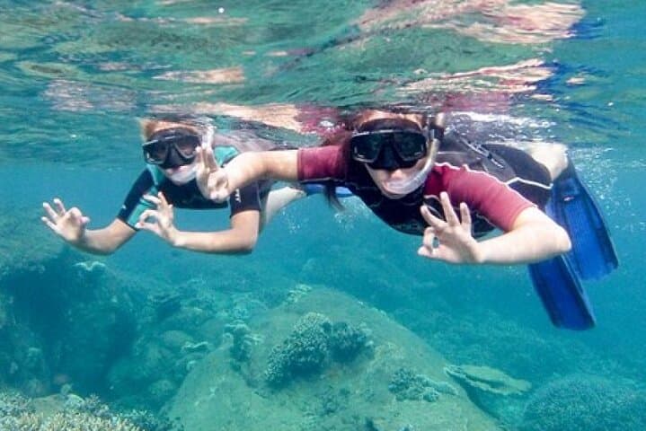 Morning Snorkel in Trincomalee: Coral Reefs, Turtles & Pigeon-Cliff Views photo 4