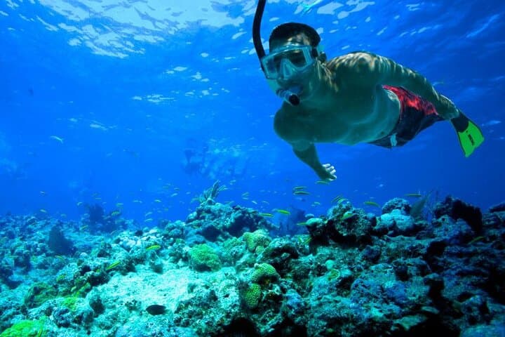Morning Snorkel in Trincomalee: Coral Reefs, Turtles & Pigeon-Cliff Views photo 5