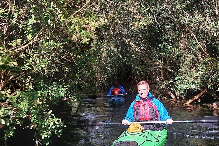 Guided Kayak Tour on the Maullín River — Half-Day from Puerto Varas photo 2