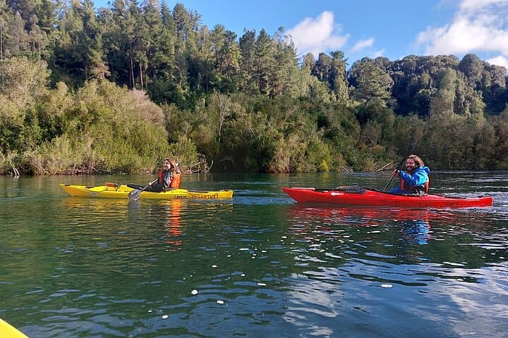 Guided Kayak Tour on the Maullín River — Half-Day from Puerto Varas photo 4