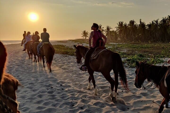 Sunset Horseback Ride Across Manialtepec: Puerto Escondido Beach & Lagoon Adventure photo 1