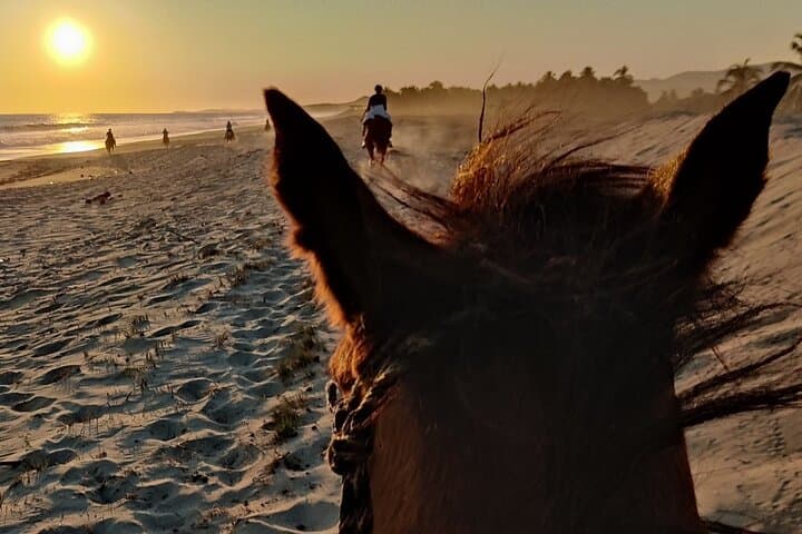 Sunset Horseback Ride Across Manialtepec: Puerto Escondido Beach & Lagoon Adventure photo 2