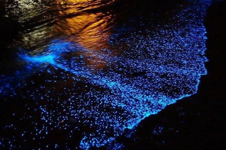 Curú Bioluminescence Boat Tour to Tortuga Islands: Sunset, Wildlife & Night Swim photo 1