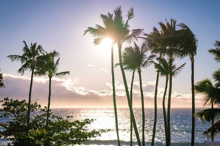 Wailele Luau at Kaanapali: Fire-Knife Show & Oceanfront Dinner photo 4