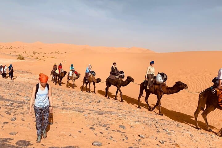 Overnight at Sahara Wellness Camp: Erg Chebbi Camel Ride, Sandboarding & Berber Camp Experience