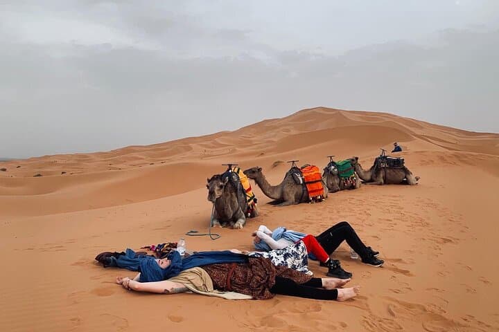 Overnight at Sahara Wellness Camp: Erg Chebbi Camel Ride, Sandboarding & Berber Camp Experience photo 4