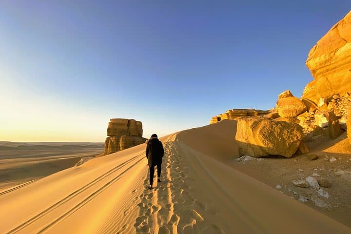 Fayoum Desert Odyssey: 2-Day Private Camp, Dune-Bashing & Wadi Al-Hitan