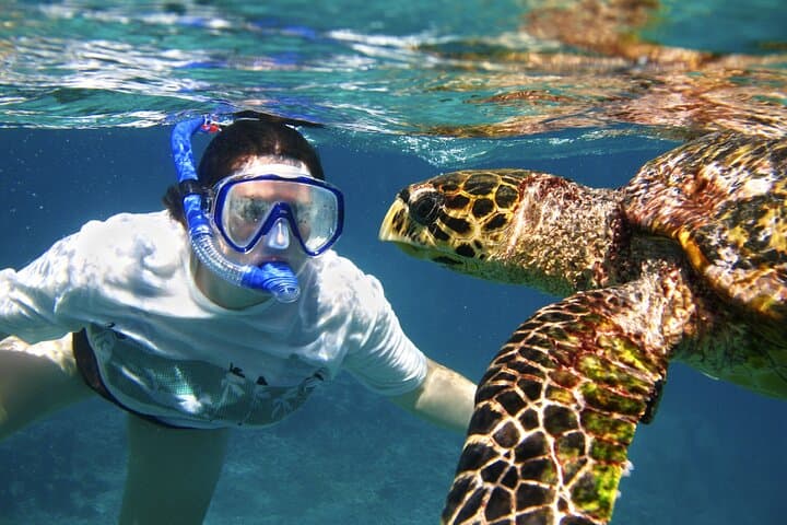 Exclusive Catamaran Charter Along Kauai’s NaPali Coast: Private Tour & Snorkeling Adventure photo 2