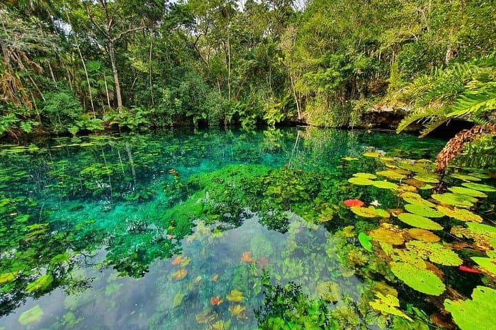 Tulum Cenotes Trail: Jungle Bike Tour, Snorkel & Zipline with Lunch photo 2