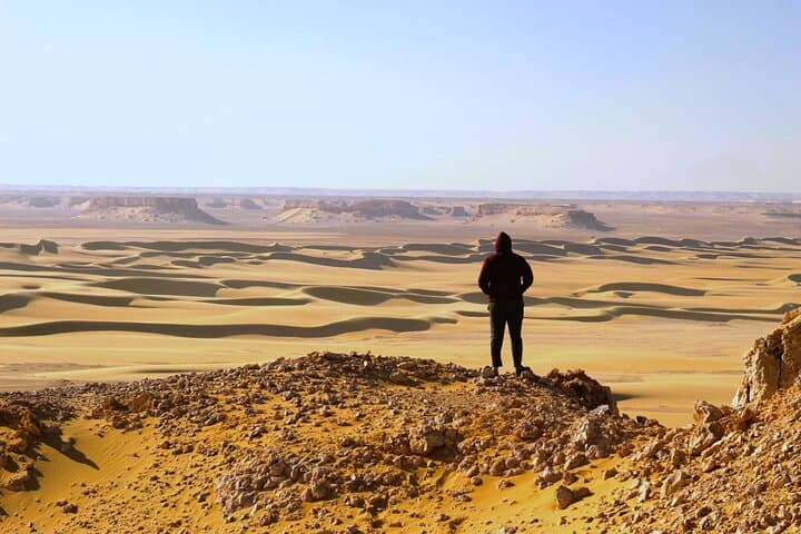 Fayoum Desert Odyssey: 2-Day Private Camp, Dune-Bashing & Wadi Al-Hitan photo 2