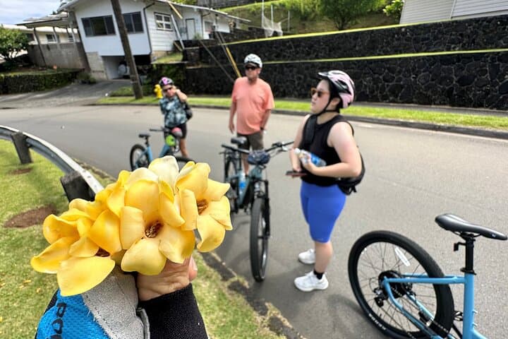 Manoa Falls Electric Bike + Hike: Half-Day Manoa Valley Adventure photo 3