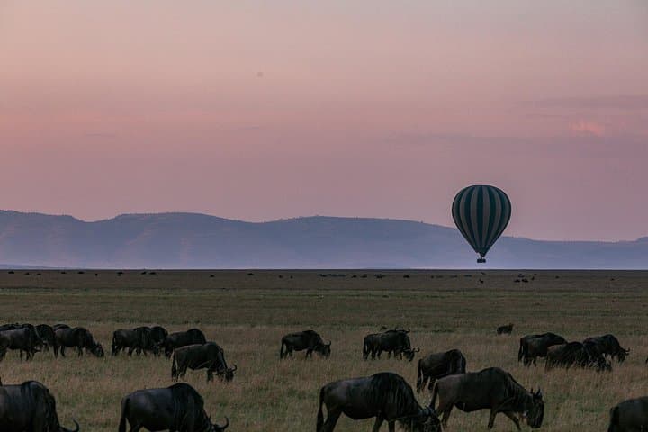 Masai Mara 3-Day Safari: Big Five Game Drives & Maasai Culture photo 2