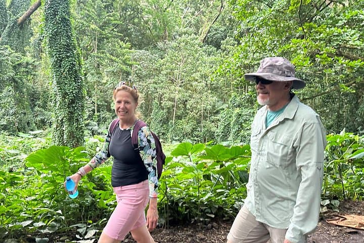 Manoa Falls Electric Bike + Hike: Half-Day Manoa Valley Adventure photo 5