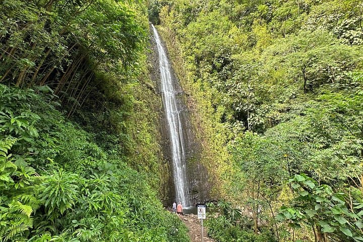 Manoa Falls Electric Bike + Hike: Half-Day Manoa Valley Adventure photo 2