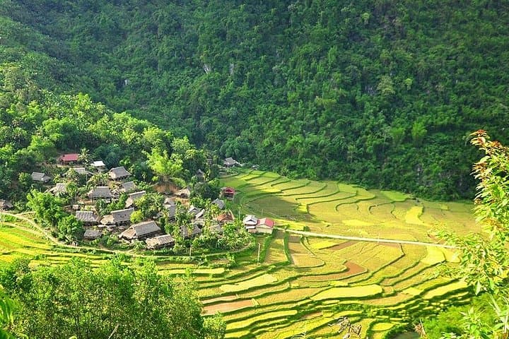Hoa Lu, Tam Coc & Mua Cave Day Trip from Hanoi: Boat, Bike & 500-Step View photo 3