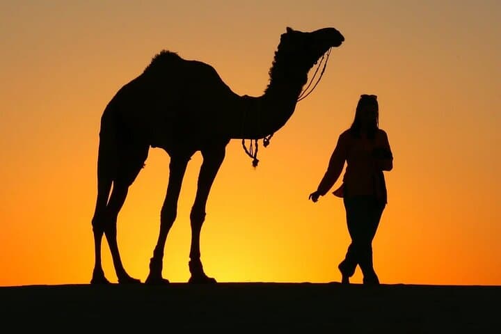 Jaisalmer Sunset Desert Safari: Camel Ride & Bonfire Dinner on the Dunes