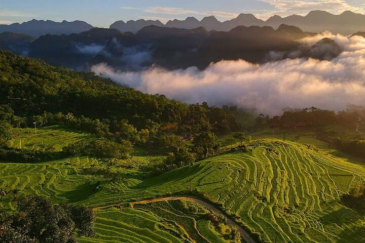 Hoa Lu, Tam Coc & Mua Cave Day Trip from Hanoi: Boat, Bike & 500-Step View photo 1