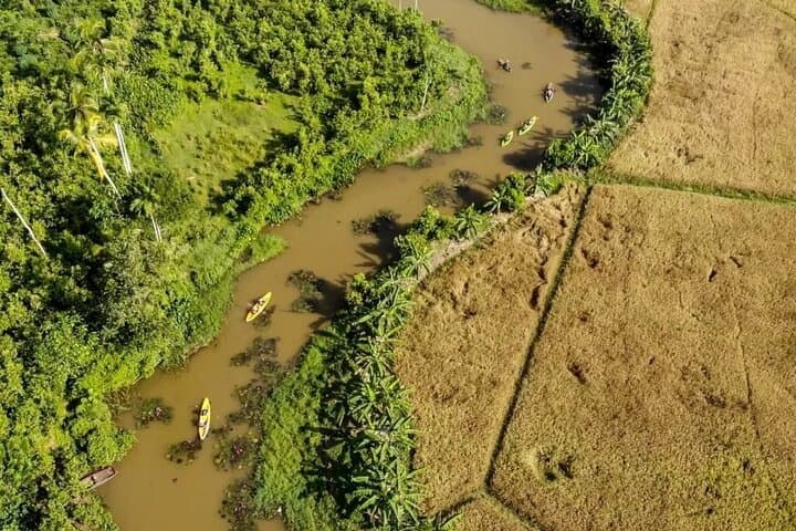 Paddling Through Paddy and Tea: 4-Hour Private Kayak in Galle photo 2