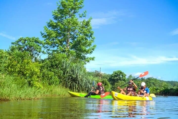 Paddling Through Paddy and Tea: 4-Hour Private Kayak in Galle