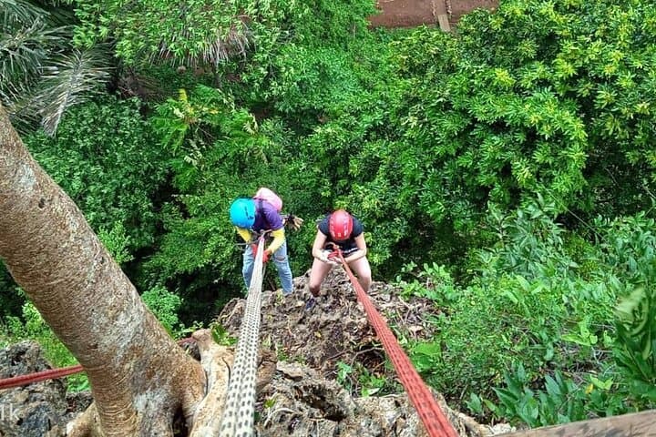 Half-Day Zipline and Rainforest Adventure in Krabi: 10 Canopy Ziplines & Abseiling photo 5