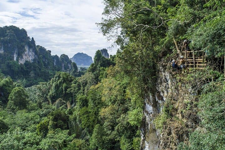 Krabi Canopy Adventure: Full-Day Zipline, Abseiling & Top-Rope Climbing photo 5