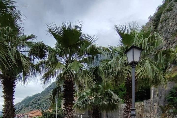 Day Trip to Montenegro from Dubrovnik: Kotor Bay, Perast & Porto Montenegro photo 4